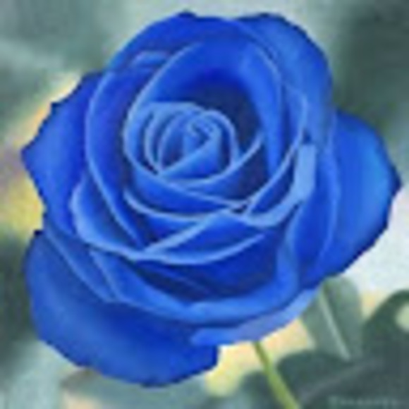 crystallotus22